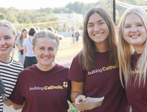 November 2025 Spotlight